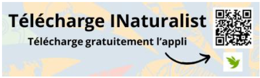 INaturalist.jpeg