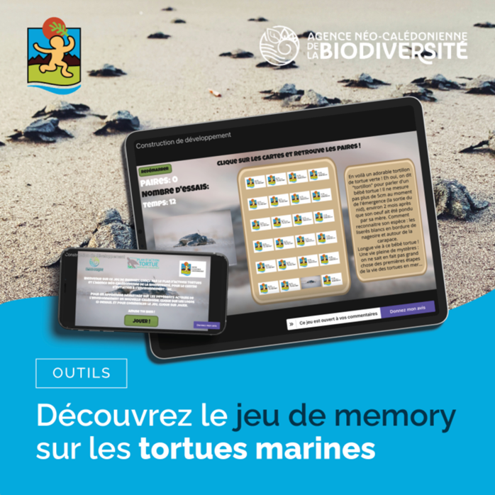 Memory Tortues