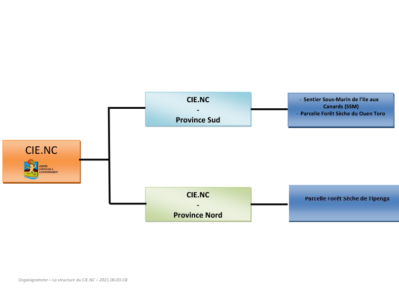 la structure du cie 2021