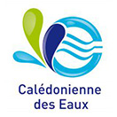 cde logo