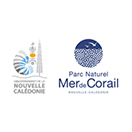 Mer corail