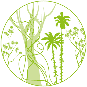 la foret seche 2018