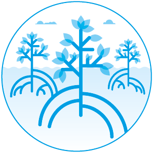 la mangrove 2018