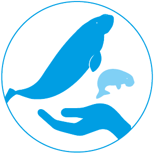 le dugong espece emblematique 2018