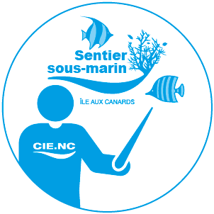 visite du ssm 2018
